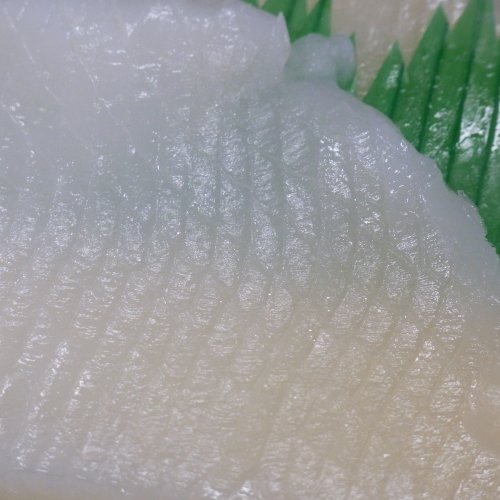 SHUEI 【北海道産】真いかソーメン500ｇ　約8人前