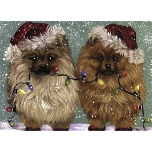 Pomeranian Christmas Cards