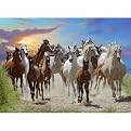 Ravensburger 500-pc. Large Format Puzzle - Running Free