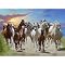 Ravensburger 500-pc. Large Format Puzzle - Running Free