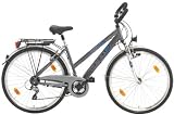 Onyx | Texo 28″ Damen- Trekkingbike das Trekking Fahrrad