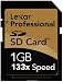Electronics : Lexar SD1GB-133-380 Professional Series 1GB 133x Secure Digital Card (Retail Package)  SD1GB-133-380