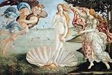 Botticelli Birth of NUDE Venus Poster Art Print RARE NR - 24
