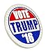 Vote Donald Trump Lapel Pin 2016