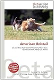 American Bobtail