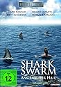 Shark Swarm