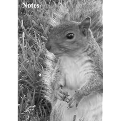 Notes Eichh�rnchen: Notizbuch, Notizheft DIN A 5, liniert, 108 Seiten