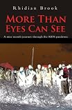 Review Marion Boyars Publishers Ltd  / More Than Eyes Can See: A Nine Month Journey into the Aids Pandemic