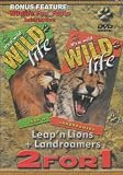Its A Wild Life: Leap N Lions / Land Roamers