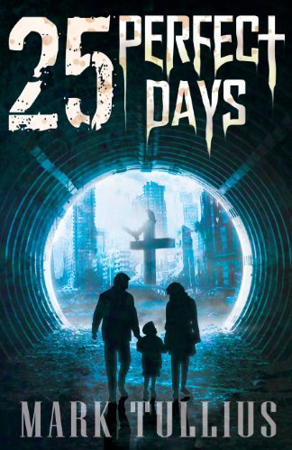 25 Perfect Days