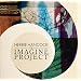 The Imagine Project [Vinyl LP]