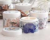 IMAGE OF Mirage Wax Filled Ceramic Jars (Multi) (3.5