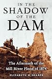 In the Shadow of the Dam: The Aftermath of the Mill River Flood of 1874