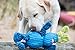 HuggleHounds Ruff-Tex Bugsy Dog Toy, Blue - Large