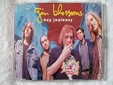 Hey Jealousy (uk)