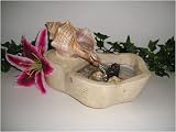 Neptune Trapezium Shell Fountain White Agate