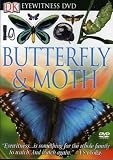 Eyewitness: Butterfly and Moth