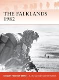 The Falklands 1982: Ground operations in the South Atlantic (Campaign)
