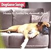 Doggone Songs - Animal Spirit Cd