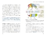 カラー図解　アメリカ版　大学生物学の教科書　第3巻　分子生物学 (ブルーバックス)-
