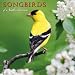 Songbirds of North America 2010 Wall Calendar