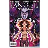 Angel After The Fall #9 Comic VARIANT ALEX GARNER Cover B