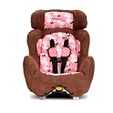 Convertible Car Seat