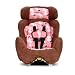 Learning Curve True Fit Convertible Car Seat, Pink Butterfly
