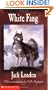 White Fang (Scholastic Classics)