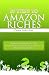 29 Steps to Amazon RICHES: The secrets of how to sell on Amazon, make money online,  and make SIX figures!
