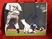Milwaukee Brewers Corey Hart Autographed 8x10 Photo, Proof Photo of Corey Signing for Us.
