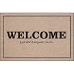 WelcomeDont Expect Much Doormat