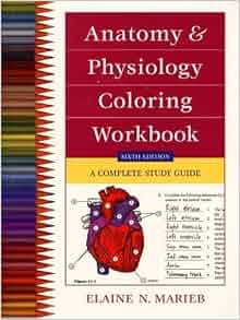Anatomy and Physiology Coloring Workbook: A Complete Study Guide (6th