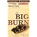 The Big Burn: Teddy Roosevelt and the Fire That Saved America