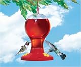 Hummingbird Feeder,Ladders, Perches & Swings, Harness, Feeders, Birds, Pet & Supplies
