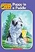 Puppy in a Puddle (Animal Ark Series #28)