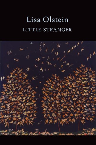 Little Stranger (Lannan Literary Selections)