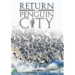 Penguin City