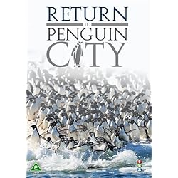 Penguin City