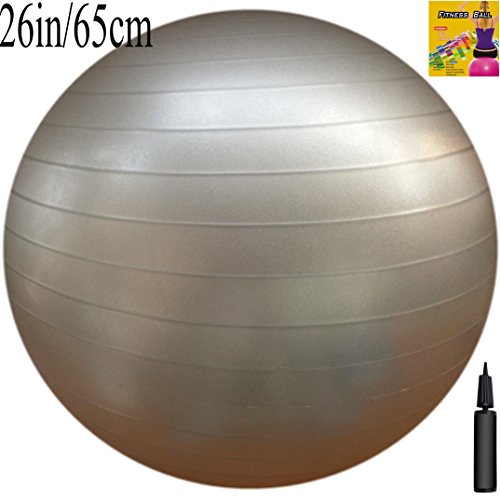 Fitness Ball with Air Pump, Grey, 65cm/26in Diameter, Instruction Chart Included, Exercise Gym Swiss Stability Ball