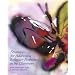 Strategies for Addressing Behavior Problems in the Classroom (6th Edition)