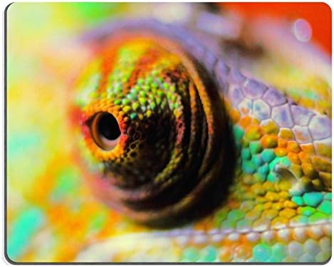 eye animal world pattern scale terrarium creature QZone Customized Made to Order Cloth with Neoprene Rubber Mouse Pads