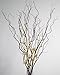 Green Floral Crafts - DIY Curly Willow with White Sword Lilies - Vase Not Included