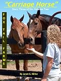 Carriage Horse (Fox Tail Farms)