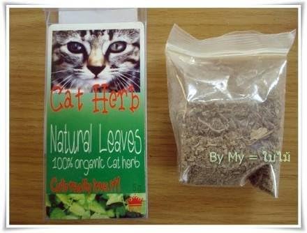3 Boxes X Thai Cat Herb Natural Leaves 100% Organic Cat Herb 5g. Cat Really Love It!