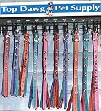 Signature Small Dog Display