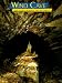 Wind Cave: The Story Behind the Scenery