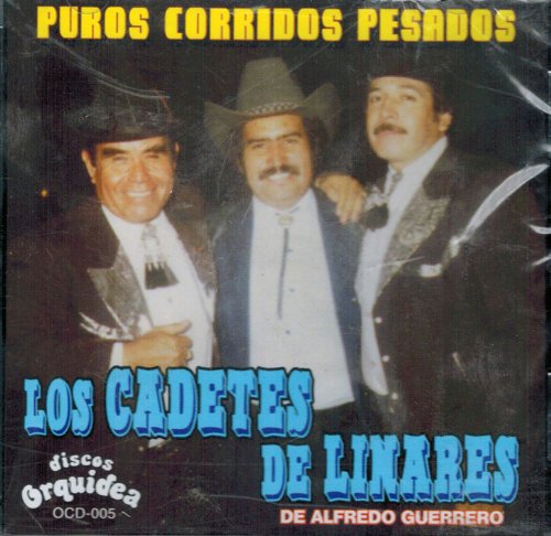 ALFREDO LINARES - Tu Musi-k Salsa Dura, Vol. 1 - Zortam Music