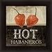 Hot Habaneros by Jennifer Pugh Chili Peppers Vintage Sign 14.5x14.5 in Framed Art Print Picture