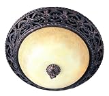 Filagree 14 1/2 Wide Ceiling Light Fixture
